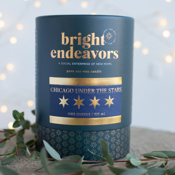 Bright Endeavors Chicago Under The Stars