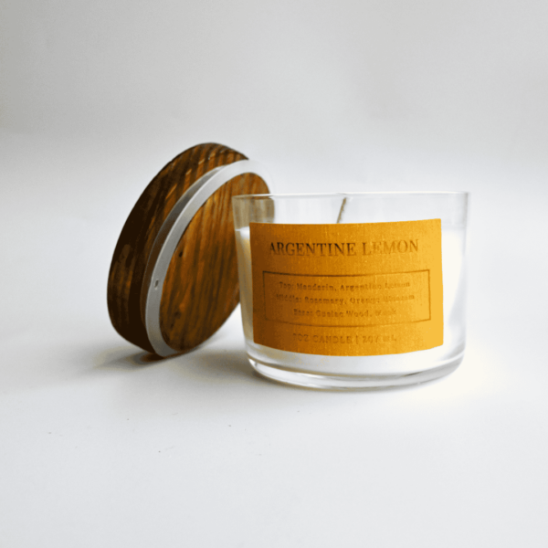 Bright Endeavors Argentine Lemon 7oz Candle